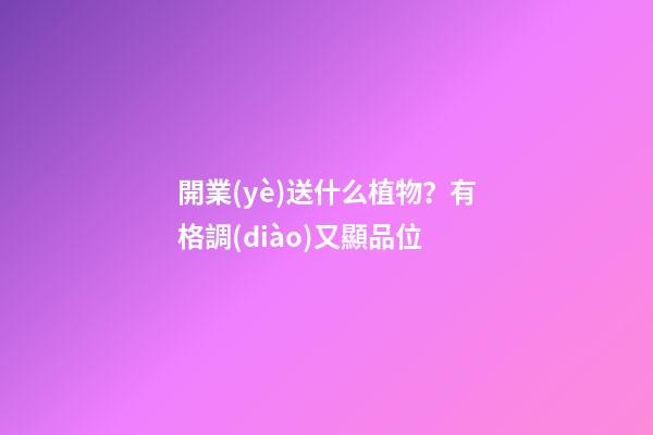 開業(yè)送什么植物？有格調(diào)又顯品位