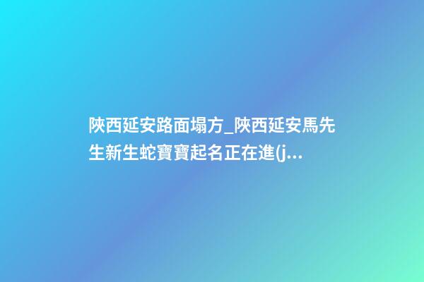 陜西延安路面塌方_陜西延安馬先生新生蛇寶寶起名正在進(jìn)行中-第1張-公司起名-玄機(jī)派