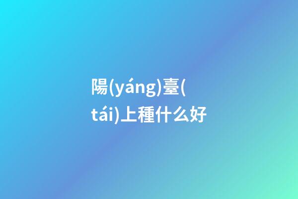 陽(yáng)臺(tái)上種什么好