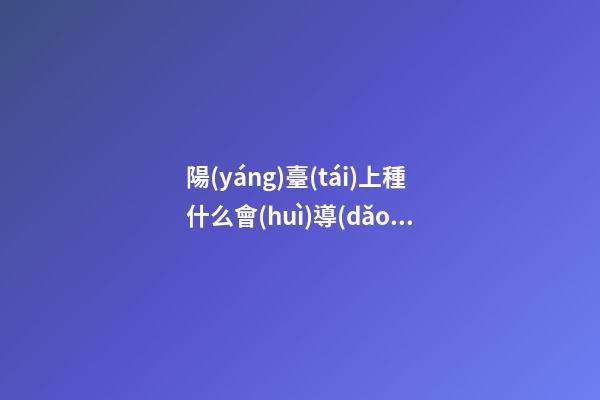 陽(yáng)臺(tái)上種什么會(huì)導(dǎo)致女性出軌