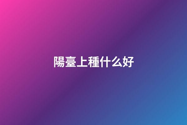 陽臺上種什么好