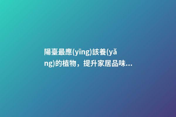 陽臺最應(yīng)該養(yǎng)的植物，提升家居品味還能招好運氣、阻隔不良氣場