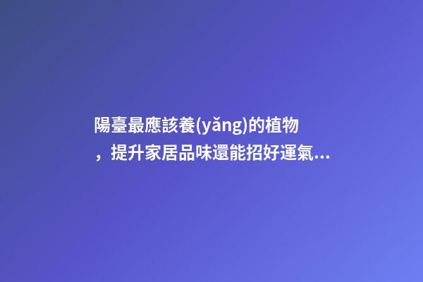 陽臺最應該養(yǎng)的植物，提升家居品味還能招好運氣、阻隔不良氣場