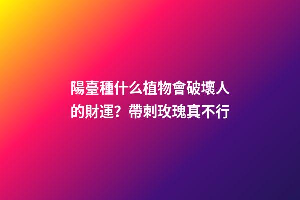 陽臺種什么植物會破壞人的財運？帶刺玫瑰真不行