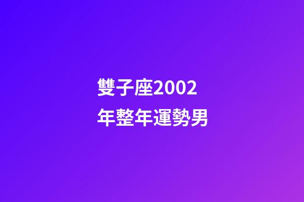 雙子座2002年整年運勢男