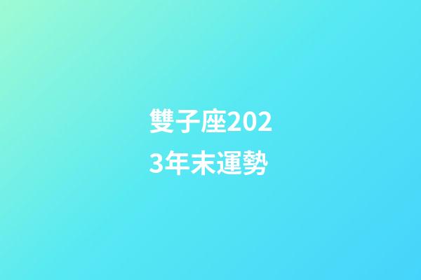 雙子座2023年末運勢-第1張-星座運勢-玄機派