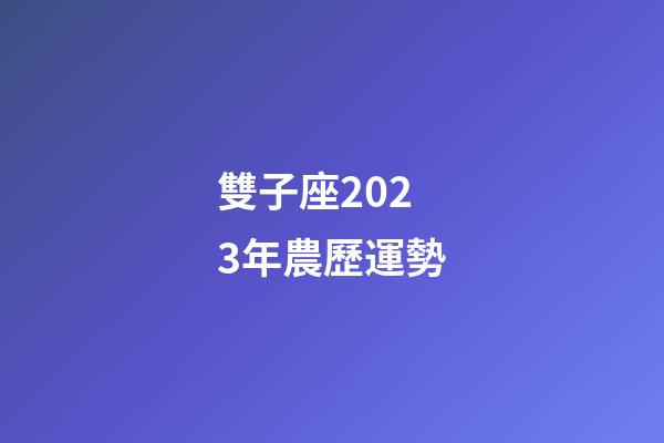 雙子座2023年農歷運勢-第1張-星座運勢-玄機派