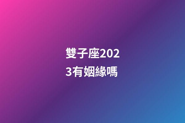 雙子座2023有姻緣嗎-第1張-星座運勢-玄機派