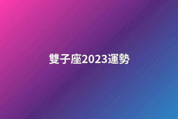 雙子座2023運勢（射手座2023年運勢）-第1張-星座運勢-玄機派