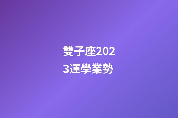 雙子座2023運學業勢-第1張-星座運勢-玄機派