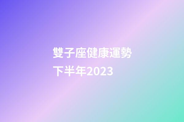 雙子座健康運勢下半年2023-第1張-星座運勢-玄機派