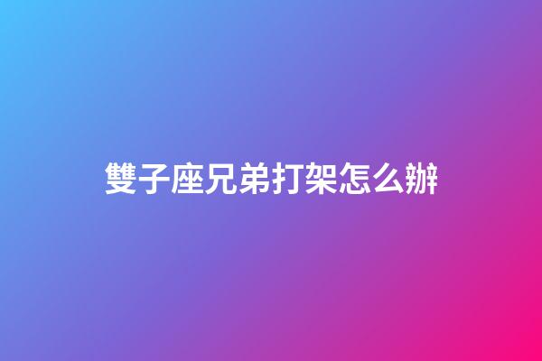 雙子座兄弟打架怎么辦-第1張-星座運勢-玄機派