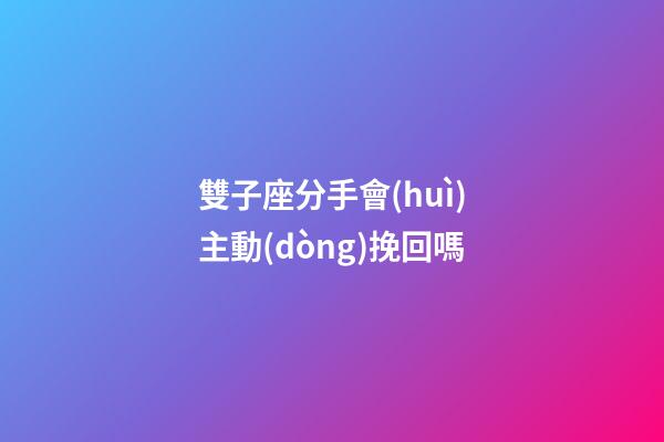 雙子座分手會(huì)主動(dòng)挽回嗎-第1張-星座運(yùn)勢-玄機(jī)派