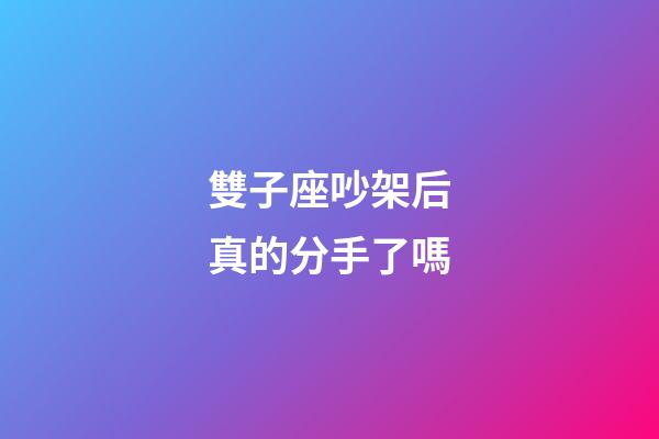 雙子座吵架后真的分手了嗎-第1張-星座運勢-玄機派