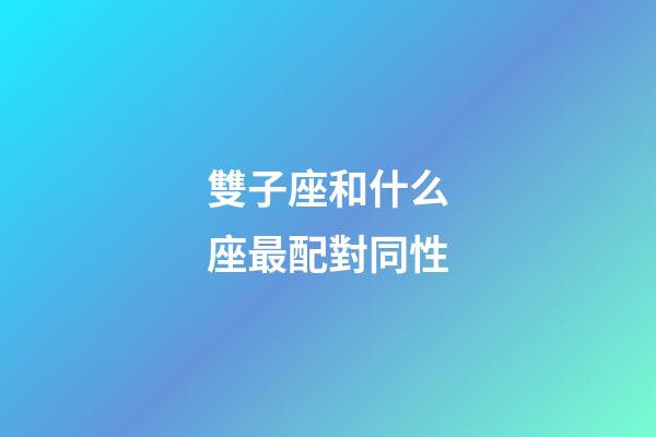 雙子座和什么座最配對同性