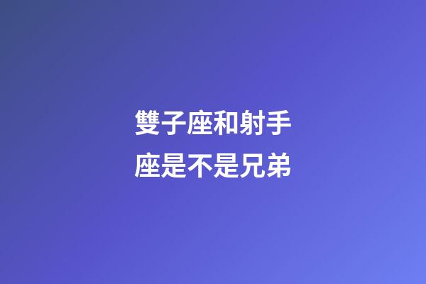 雙子座和射手座是不是兄弟-第1張-星座運勢-玄機派