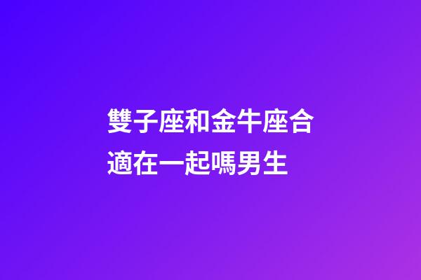 雙子座和金牛座合適在一起嗎男生-第1張-星座運勢-玄機派