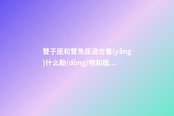 雙子座和雙魚座適合養(yǎng)什么動(dòng)物和植物-第1張-星座運(yùn)勢(shì)-玄機(jī)派