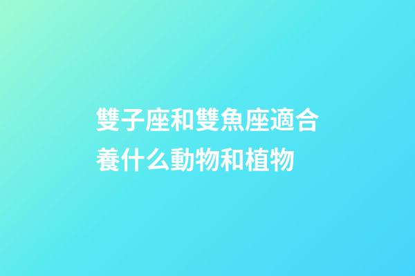 雙子座和雙魚座適合養什么動物和植物-第1張-星座運勢-玄機派