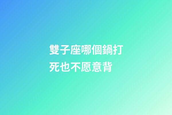 雙子座哪個鍋打死也不愿意背-第1張-星座運勢-玄機派