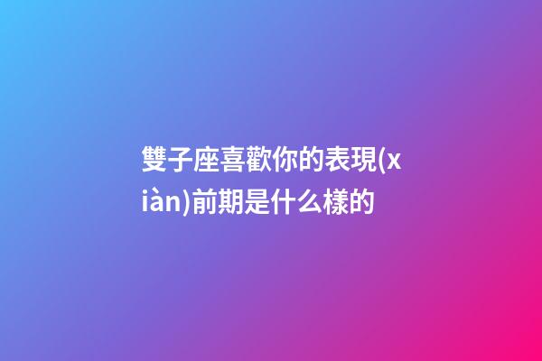 雙子座喜歡你的表現(xiàn)前期是什么樣的-第1張-星座運(yùn)勢(shì)-玄機(jī)派