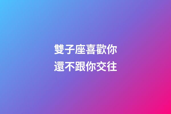 雙子座喜歡你還不跟你交往-第1張-星座運勢-玄機派