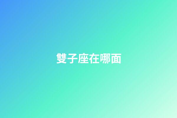 雙子座在哪面-第1張-星座運勢-玄機派