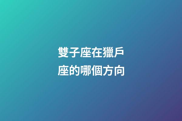 雙子座在獵戶座的哪個方向