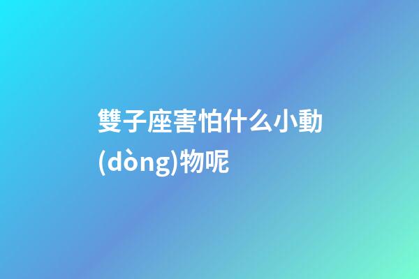 雙子座害怕什么小動(dòng)物呢