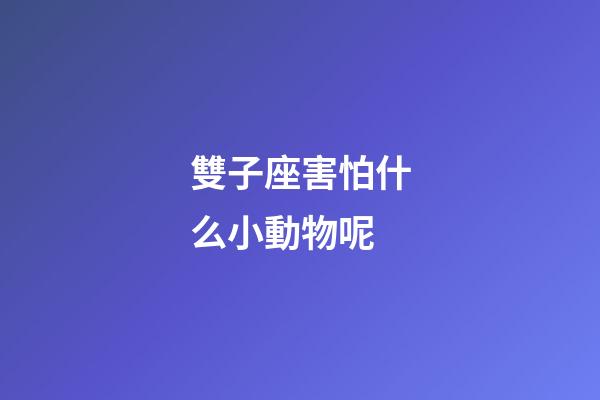雙子座害怕什么小動物呢