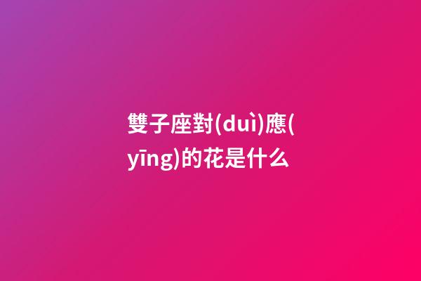 雙子座對(duì)應(yīng)的花是什么-第1張-星座運(yùn)勢-玄機(jī)派