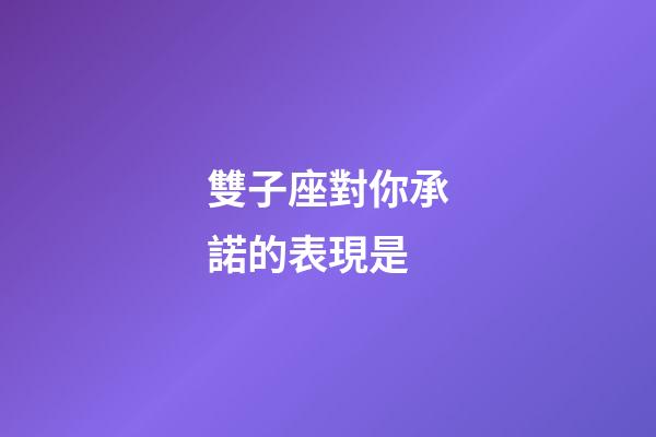 雙子座對你承諾的表現是