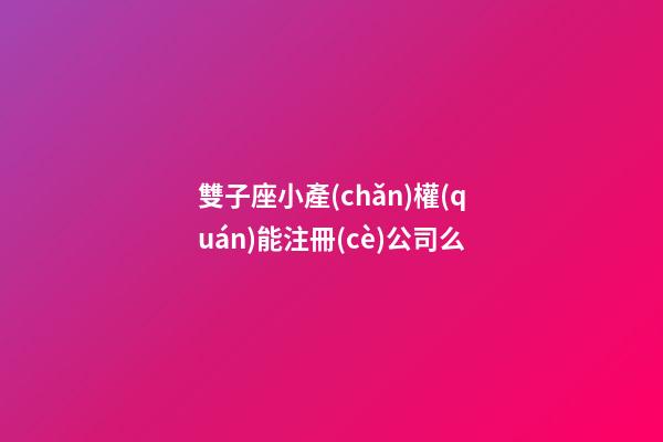 雙子座小產(chǎn)權(quán)能注冊(cè)公司么