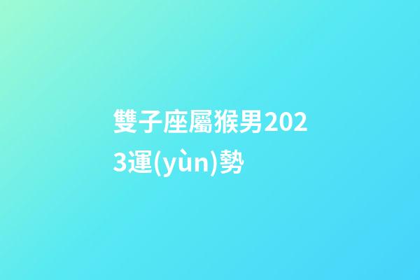 雙子座屬猴男2023運(yùn)勢-第1張-星座運(yùn)勢-玄機(jī)派