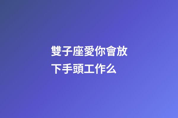 雙子座愛你會放下手頭工作么-第1張-星座運(yùn)勢-玄機(jī)派