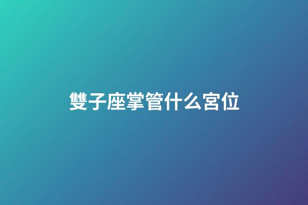 雙子座掌管什么宮位-第1張-星座運勢-玄機派