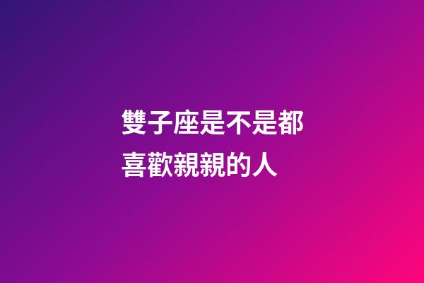 雙子座是不是都喜歡親親的人-第1張-星座運勢-玄機派
