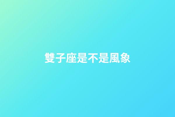 雙子座是不是風象-第1張-星座運勢-玄機派