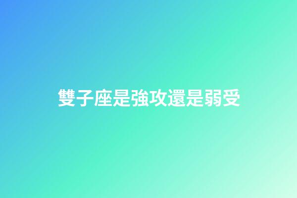 雙子座是強攻還是弱受-第1張-星座運勢-玄機派
