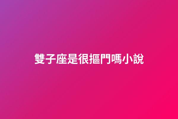 雙子座是很摳門嗎小說-第1張-星座運勢-玄機派