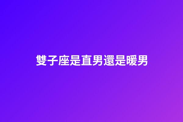 雙子座是直男還是暖男-第1張-星座運勢-玄機派