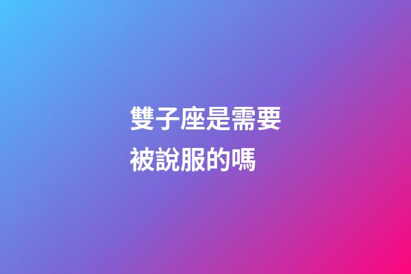 雙子座是需要被說服的嗎-第1張-星座運勢-玄機派