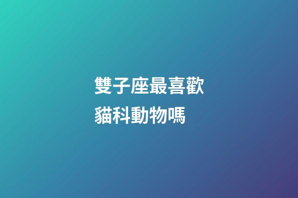 雙子座最喜歡貓科動物嗎