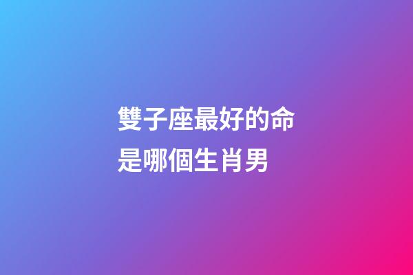 雙子座最好的命是哪個生肖男-第1張-星座運勢-玄機派