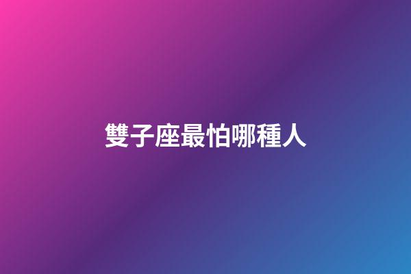 雙子座最怕哪種人-第1張-星座運勢-玄機派