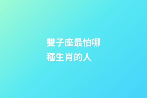 雙子座最怕哪種生肖的人-第1張-星座運勢-玄機派