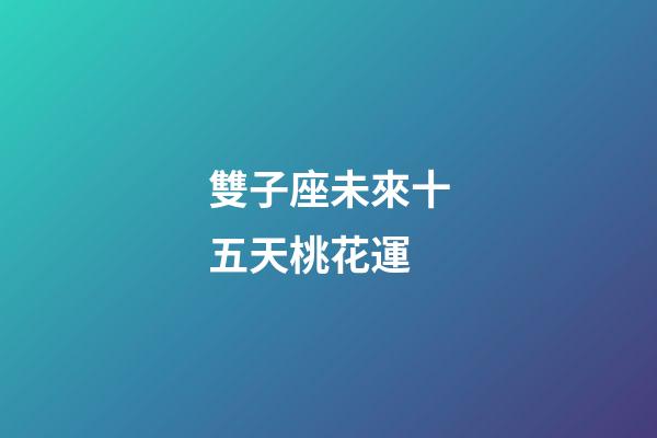 雙子座未來十五天桃花運-第1張-星座運勢-玄機派