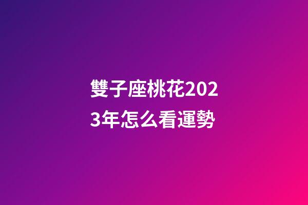 雙子座桃花2023年怎么看運勢-第1張-星座運勢-玄機派