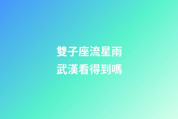 雙子座流星雨武漢看得到嗎