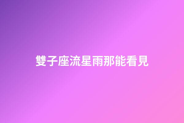 雙子座流星雨那能看見-第1張-星座運勢-玄機派